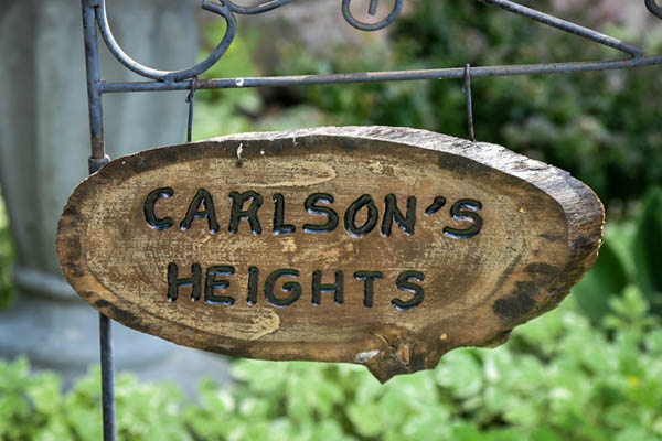 Carlson height