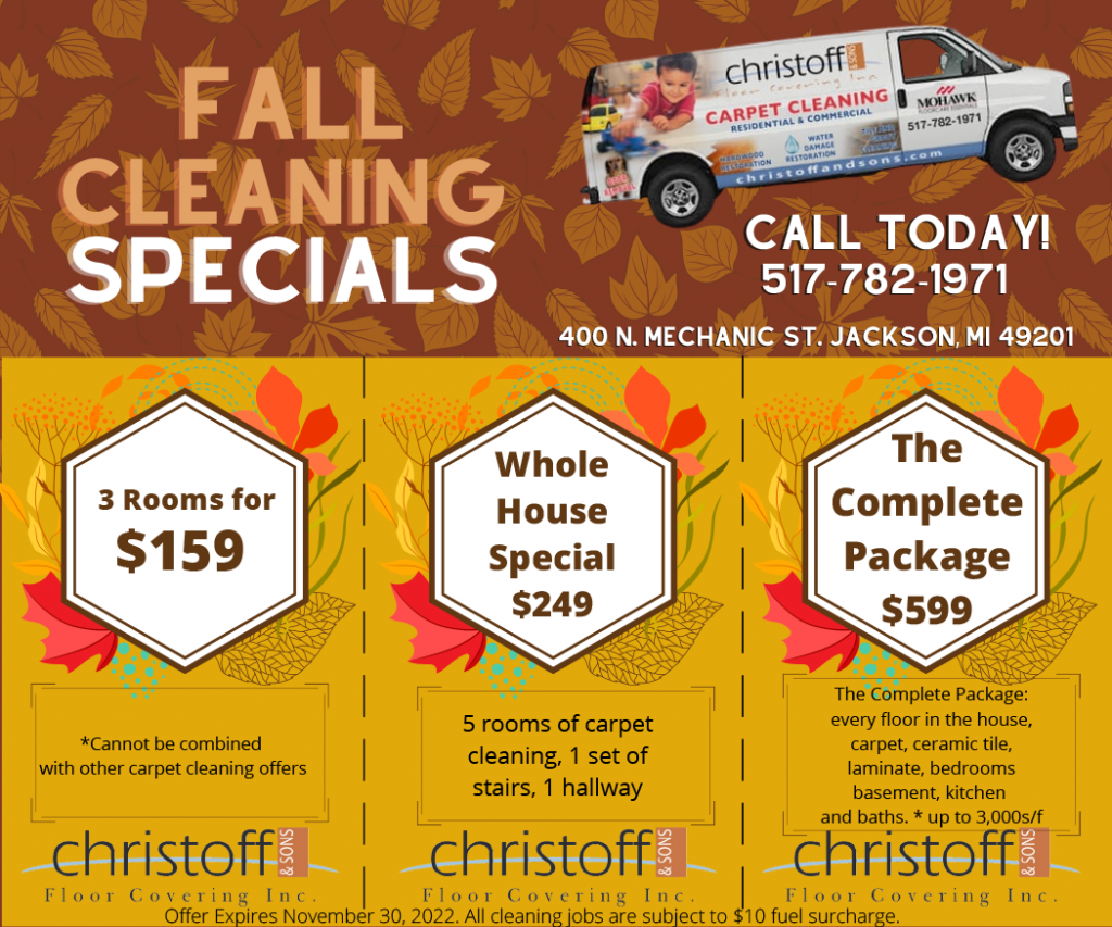 Fall Cleaning Ad